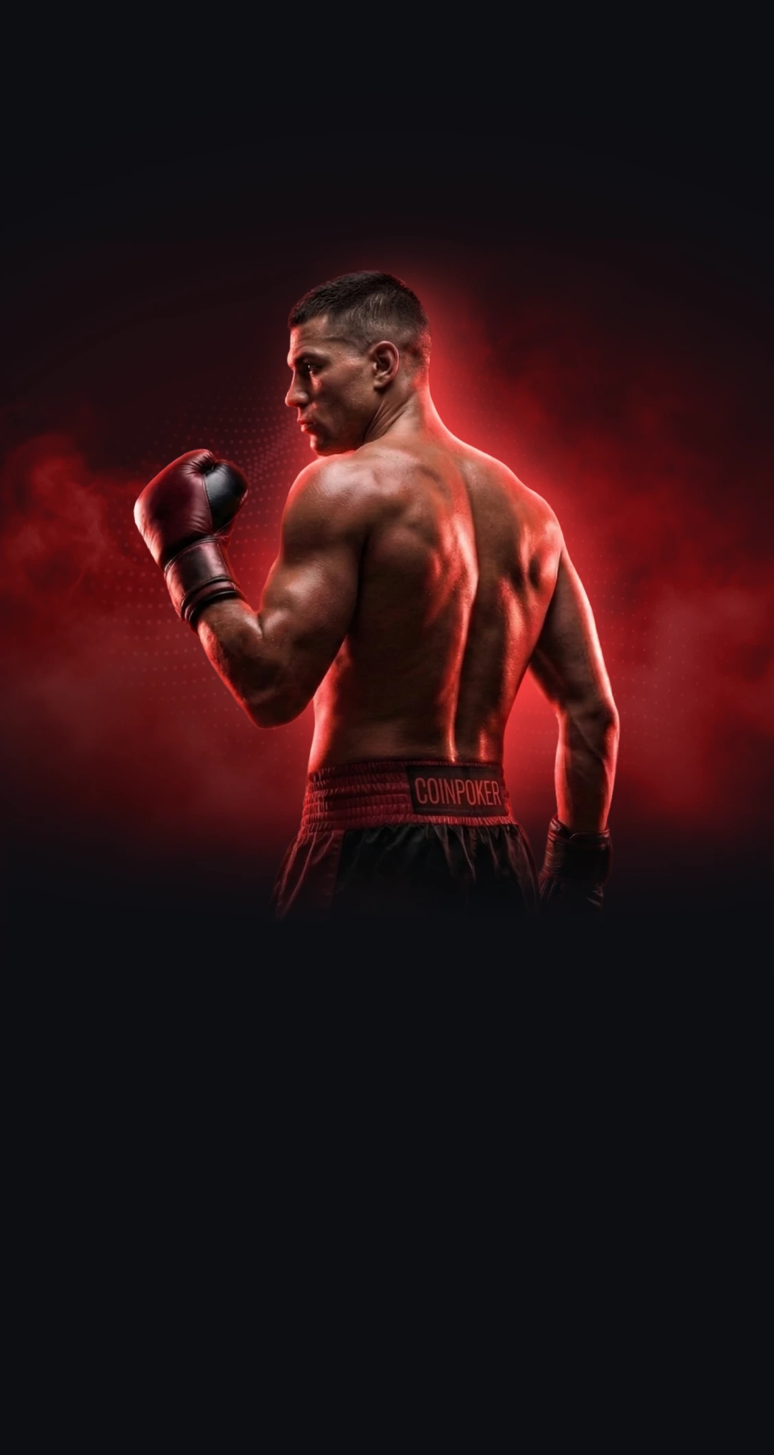Scommesse sulla boxe: Scommetti sui combattimenti di boxe online con Bitcoin